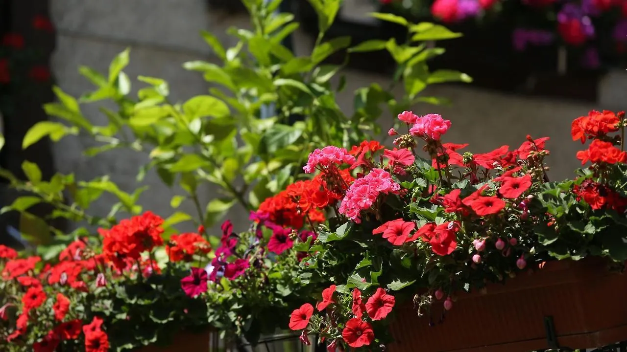 *** Guest house Haus Jutta Hotel Goessweinstein Germany